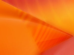 信息传递的选购策略：长期成本考量